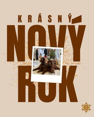 Děkujeme za každou objednávku, milou zprávu i podporu v uplynulém roce. 💚 Vážíme si toho, že jste součástí Lanigy a že nás...